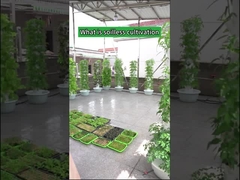 การทำสวนในร่ม Petal Hydroponic Grow Towers