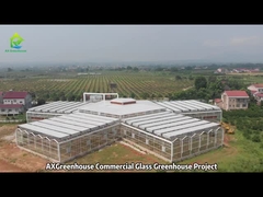 โครงการโรงเรือนกระจกเชิงพาณิชย์อุโมงค์ขนาดใหญ่