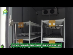 การเพิ่มขึ้นหลายชั้นและน้ำท่วม Grow Table Rolling Bench เติบโตชั้นวางด้วยแสง