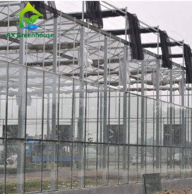 กระจกนิรภัยเชิงพาณิชย์ประเภท Venlo เรือนกระจก Multispan สำหรับการเกษตร