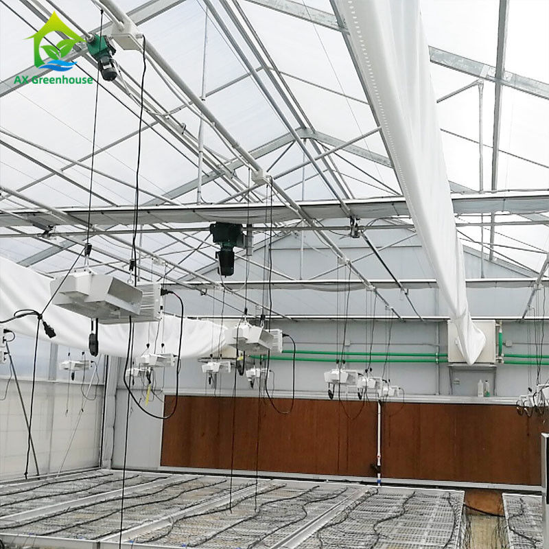 PE Film 220V Auto Light Deprivation Greenhouse 100% Blackout High Tunnel Greenhouse สำหรับปลูกกัญชา