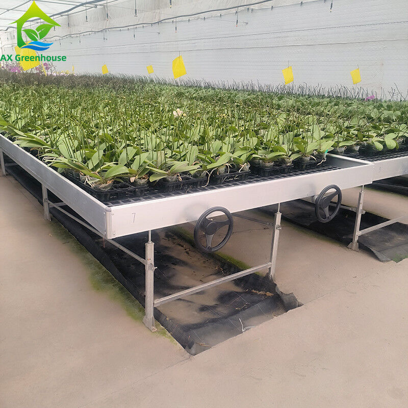 Ebb และน้ําท่วม Hydroponic โต๊ะเคลื่อนย้าย Rolling Bench สําหรับการเติบโตของพืชในเรือนกระจก