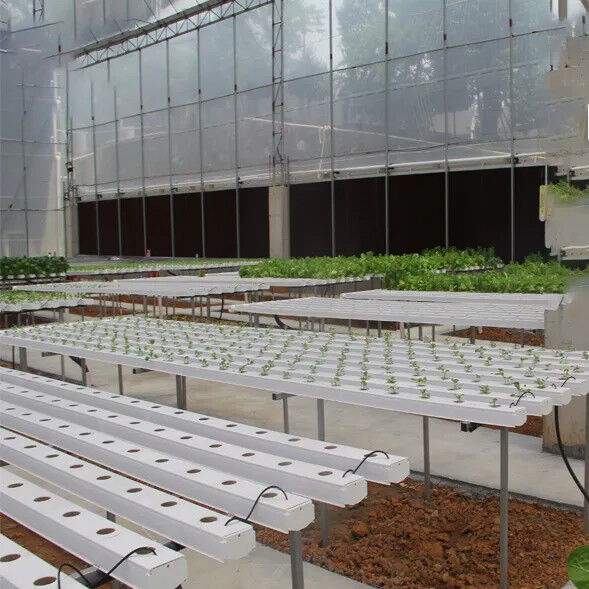 การเกษตรภายในที่ไร้ดิน การปลูกสตรอเบอรี่ PVC Tube สําหรับ Hydroponics ระบบ NFT สําหรับขาย