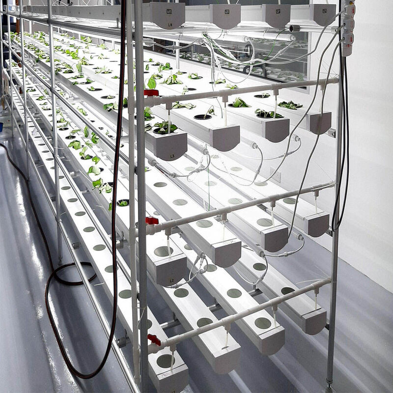 การเกษตรภายในที่ไร้ดิน การปลูกสตรอเบอรี่ PVC Tube สําหรับ Hydroponics ระบบ NFT สําหรับขาย