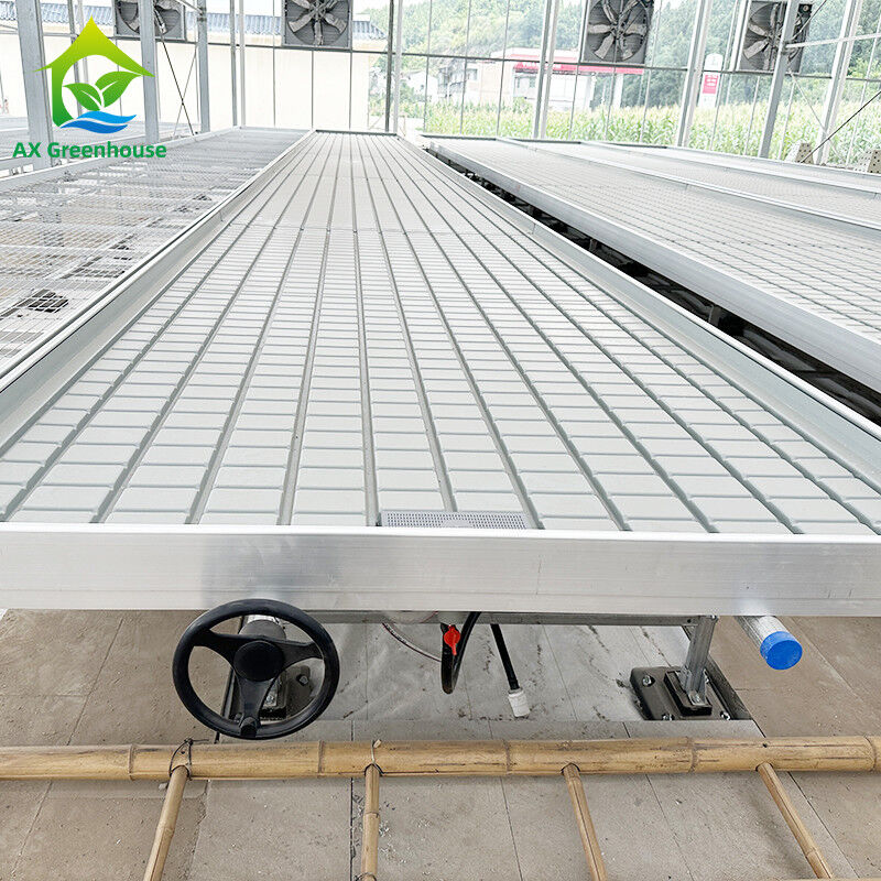 โรงเรือนกระจกในบ้าน Hydroponic Ebb And Flood Rolling Benches พัฒนาเมล็ดพันธุ์ โต๊ะสําหรับการปลูก