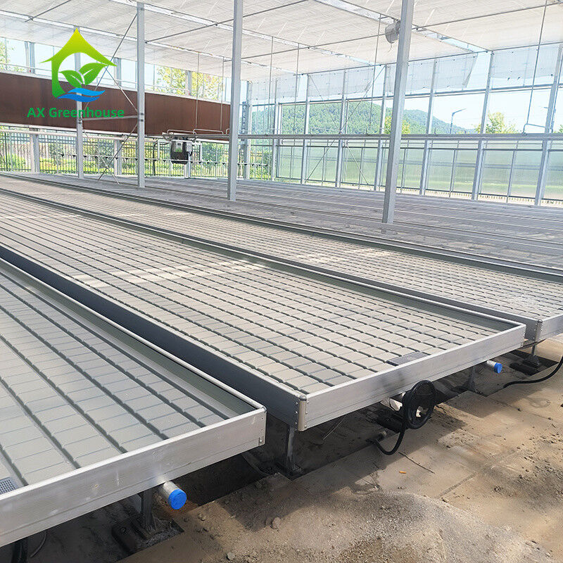 ฤกษ์เรือนกระจก Hydroponic ธรรมชาติที่ไม่มีดิน Ebb Flood Grow Table Seedbed Rolling Bench สําหรับสลัด