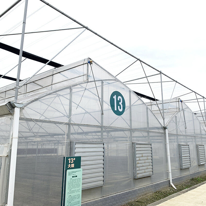 โครงสร้างเหล็ก ตําแหน่งเจาะฟิล์มโพลี โหล่งล่าง โรงเรือนกระจกหลายช่วงการเกษตร สําหรับการผลิตผักที่ยั่งยืน