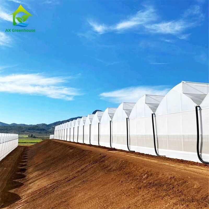 โฟมยูวีพลาสติก โพลีทุนเนล โรงงานเกษตร โซว์เทนท์ มัลติสเปน บ้านเรือนกระจก