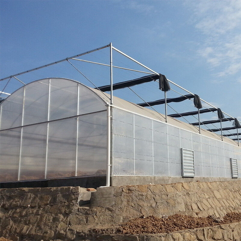 โรงงานเรือนกระจก Poly Tunnel ที่น่าเชื่อถือ โครงงานเหล็กกันสนิม