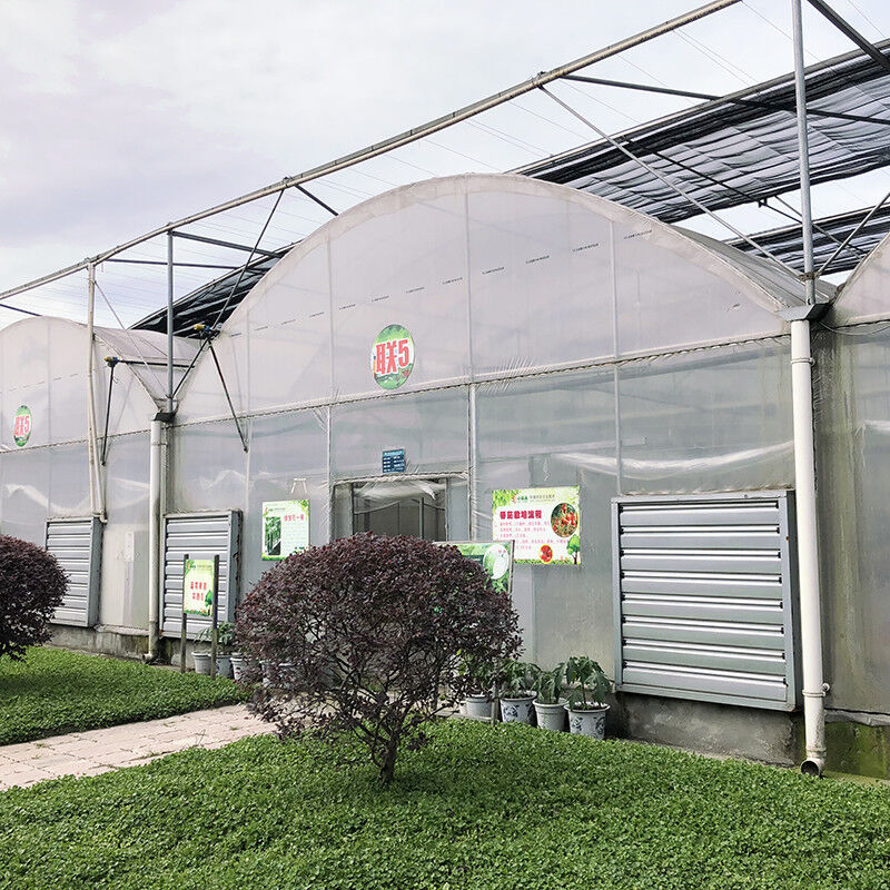 โรงเรือนกระจกการเกษตรขนาดยาวนานแบบกําหนดเอง Poly Tunnel Multi-span Film สําหรับดอกไม้