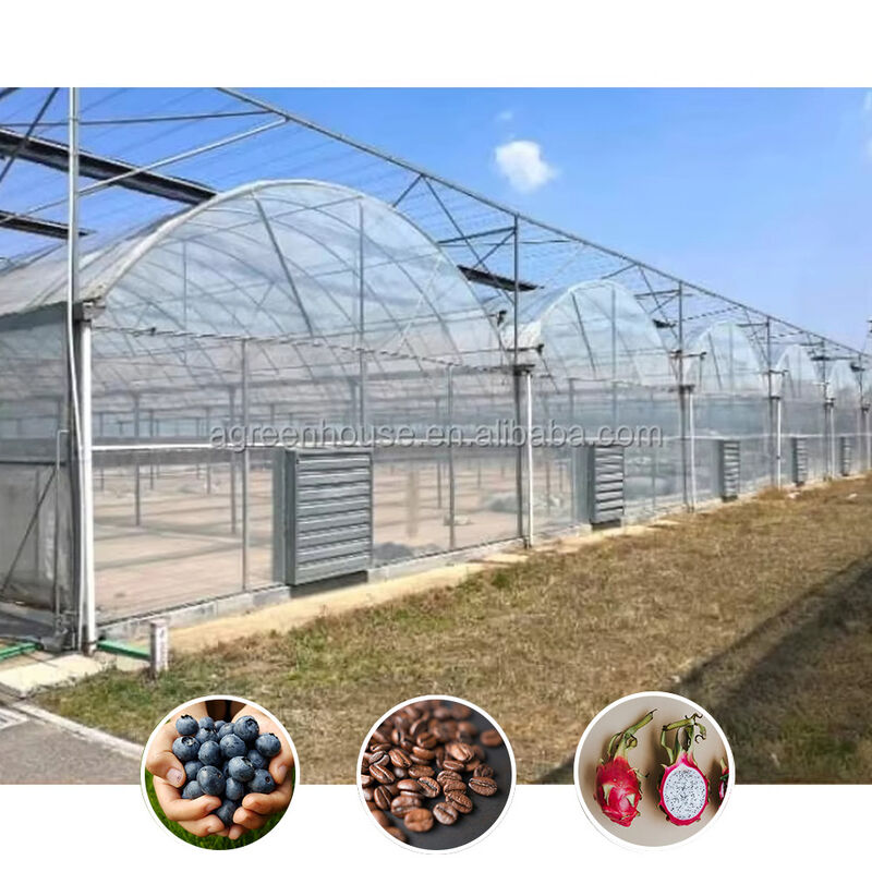 โรงเรือนโพลีทนเนลแบบหลายช่วงที่ทนทาน เหล็กกล้าสำหรับงานหนัก ทนต่อลมและหิมะ ฟาร์มเชิงพาณิชย์ สถานรับเลี้ยงเด็ก