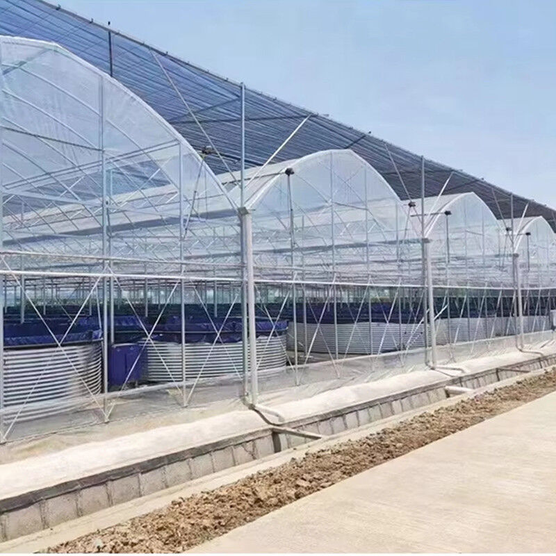 โรงเรือนโพลีทนเนลแบบหลายช่วงที่ทนทาน เหล็กกล้าสำหรับงานหนัก ทนต่อลมและหิมะ ฟาร์มเชิงพาณิชย์ สถานรับเลี้ยงเด็ก