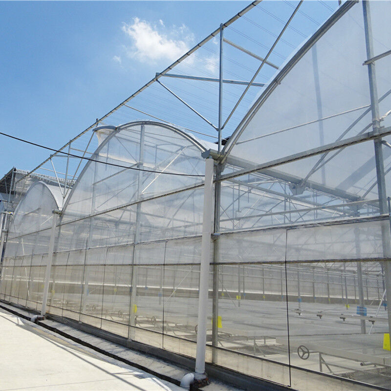 โฟลมพลาสติกการสวน ยอมต่อ UV โพลีทุนเนลขนาดใหญ่หลายสเปนเรือนกระจกสําหรับผัก