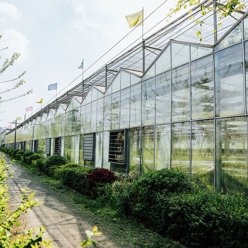 โรงเรือนกระจกแบบเวนโลสำหรับเกษตรกรรม วิศวกรรมดัตช์ โครงสร้างชุบสังกะสีสำหรับระบบไฮโดรโปนิกส์