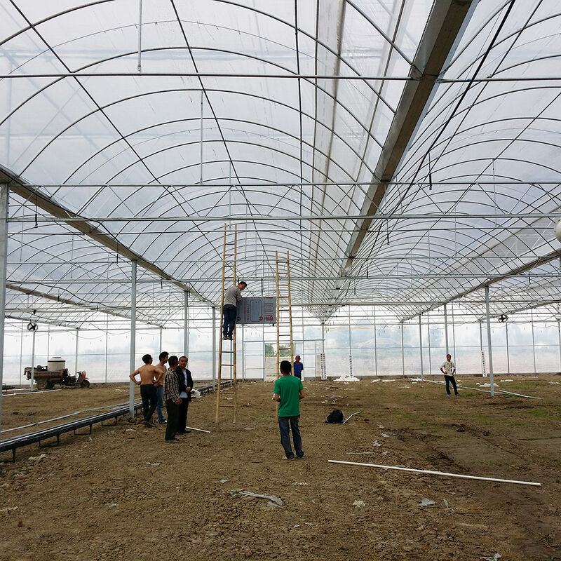 โรงงานเรือนกระจก Poly Tunnel ที่น่าเชื่อถือ โครงงานเหล็กกันสนิม