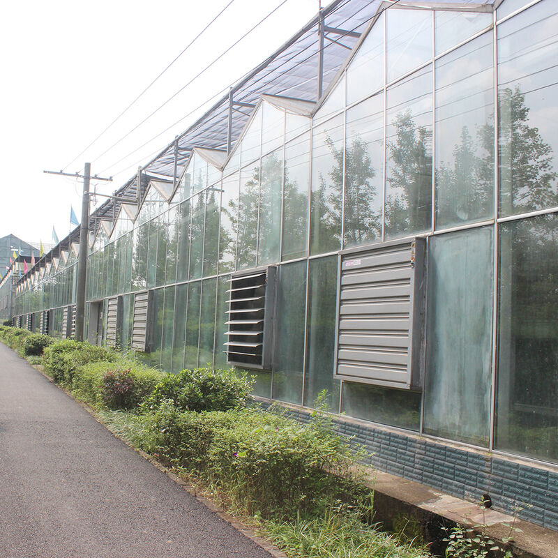 โรงเรือนกระจกแบบเวนโลสำหรับเกษตรกรรม วิศวกรรมดัตช์ โครงสร้างชุบสังกะสีสำหรับระบบไฮโดรโปนิกส์
