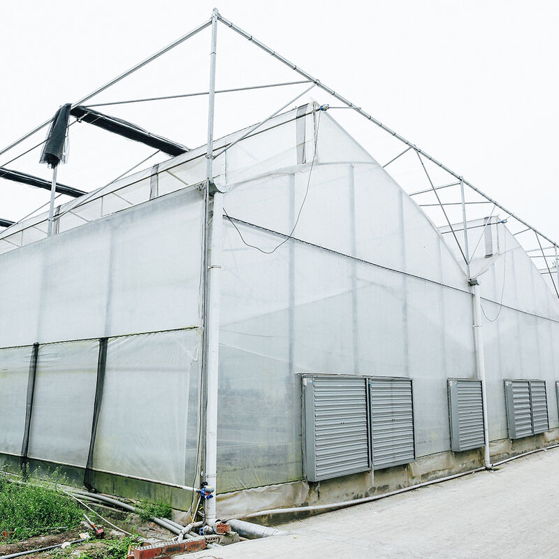 โรงเรือนกระจก Poly Multi-Span ด้วยหลังคาปูนสําหรับการระบายอากาศทางธรรมชาติและการกระจายแสง