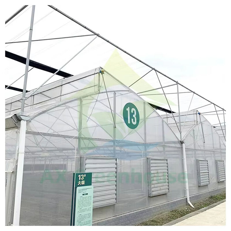 โรงเรือนกระจก Poly Multi-Span ด้วยหลังคาปูนสําหรับการระบายอากาศทางธรรมชาติและการกระจายแสง
