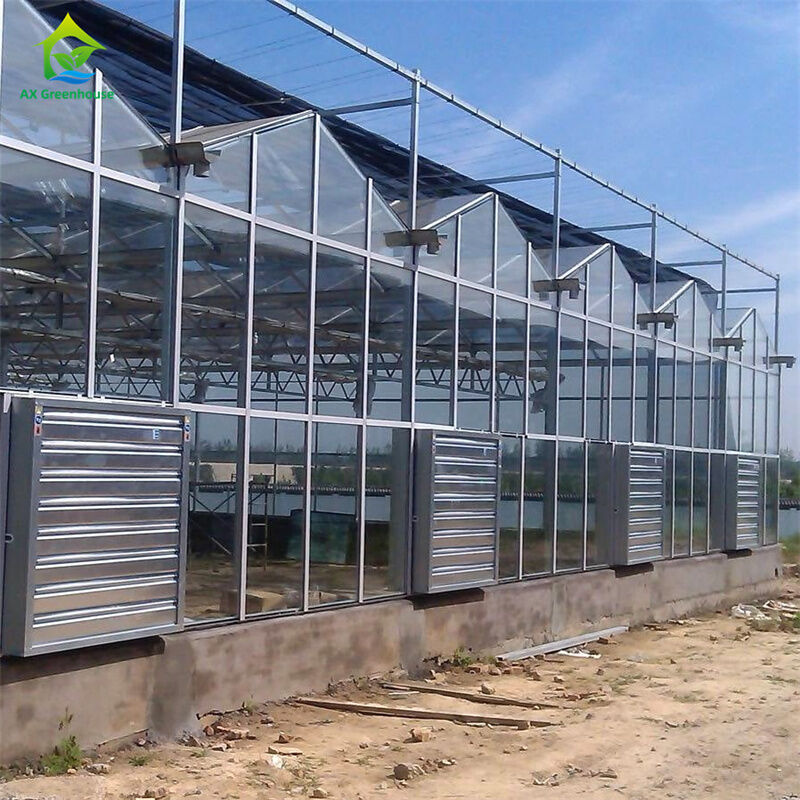 อุปกรณ์ปลูกสตรอว์เบอร์รีผักในโรงเรือนกระจกโพลีคาร์บอเนตที่ทนทาน - ชุดโรงเรือนแบบครบวงจร