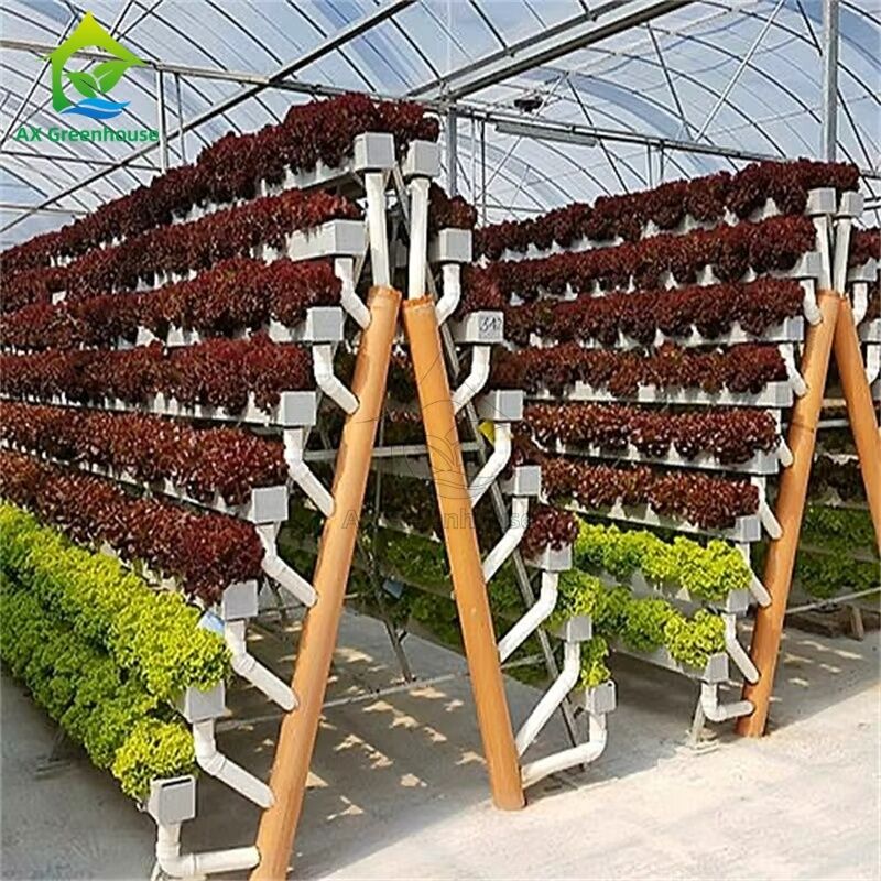 ระบบการปลูกพืชไร้ดินในโรงเรือนแบบ A-frame เทคนิคการปลูกพืชแบบ NFT (Nutrient Film Technique) ช่องทางปลูกผักที่มีประสิทธิภาพ