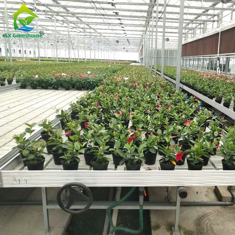 รามอัลลูมิเนียมพาณิชย์ Ebb & Flow Bench ที่ปรับความสูงและกระเบื้อง PP/ABS ที่บูรณาการสําหรับเรือนกระจก