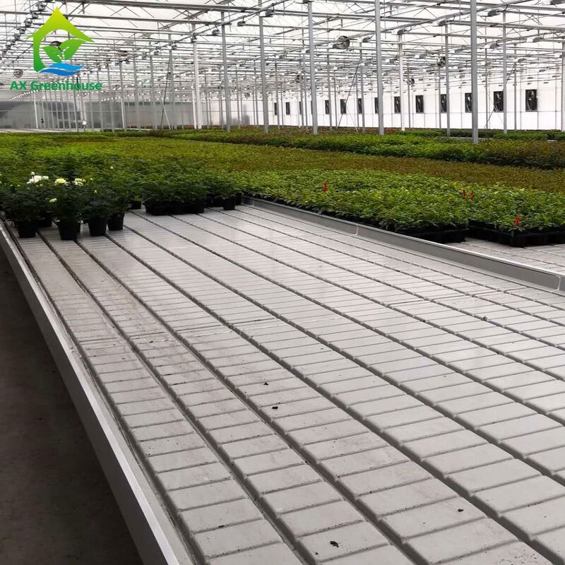 รามอัลลูมิเนียมพาณิชย์ Ebb & Flow Bench ที่ปรับความสูงและกระเบื้อง PP/ABS ที่บูรณาการสําหรับเรือนกระจก