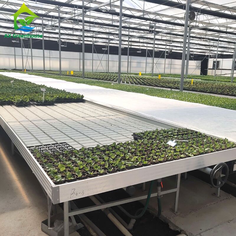 รามอัลลูมิเนียมพาณิชย์ Ebb & Flow Bench ที่ปรับความสูงและกระเบื้อง PP/ABS ที่บูรณาการสําหรับเรือนกระจก