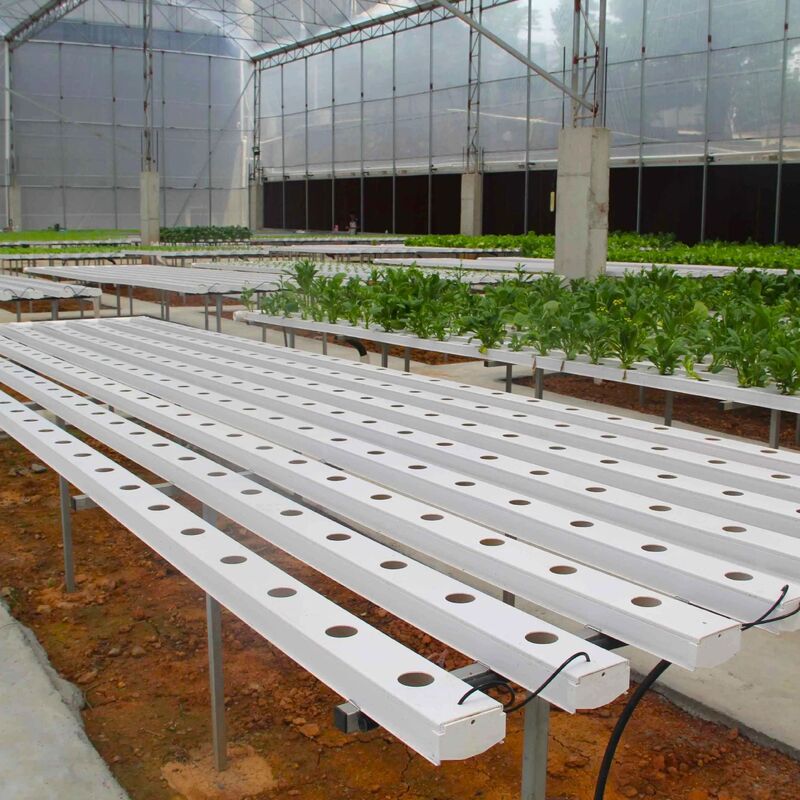 ระบบไฮโดรโปนิกส์ PVC NFT เกรดอาหาร พร้อมสารยับยั้ง UV และขนาดที่ปรับแต่งได้สำหรับเรือนกระจกเชิงพาณิชย์