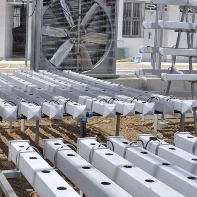 ระบบไฮโดรโปนิกส์ PVC NFT เกรดอาหาร พร้อมสารยับยั้ง UV และขนาดที่ปรับแต่งได้สำหรับเรือนกระจกเชิงพาณิชย์