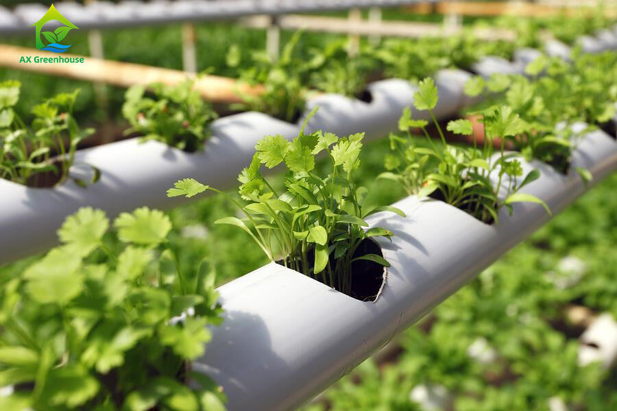 การเกษตรภายในที่ไร้ดิน การปลูกสตรอเบอรี่ PVC Tube สําหรับ Hydroponics ระบบ NFT สําหรับขาย