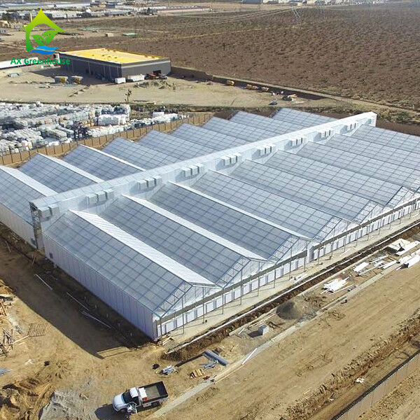 โรงเรือนกระจกการค้าอัตโนมัติที่ขาดแสงด้วยการปิดไฟภายใน ความยาว 32m-50m และความกว้าง 8m-12.6m
