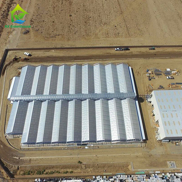 โรงเรือนกระจกการค้าอัตโนมัติที่ขาดแสงด้วยการปิดไฟภายใน ความยาว 32m-50m และความกว้าง 8m-12.6m